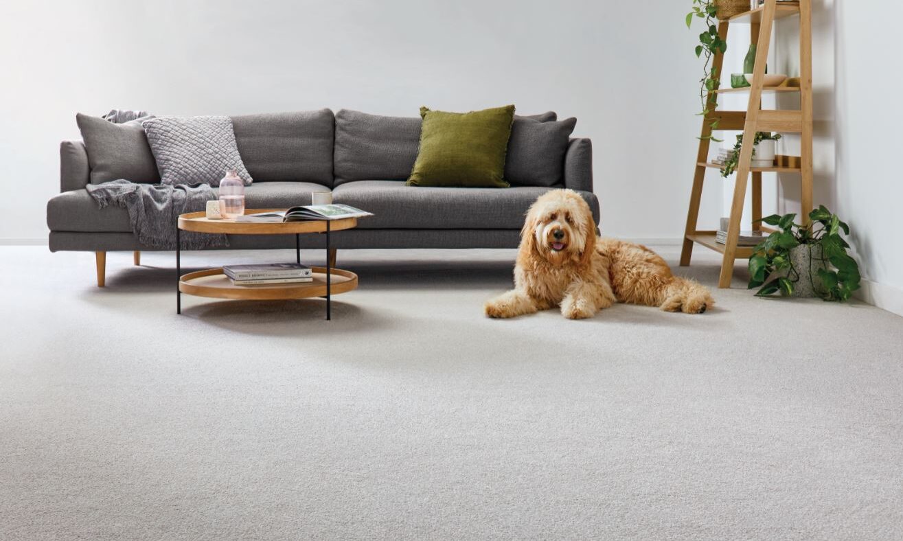 Carpet Country