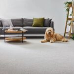 Carpet Country